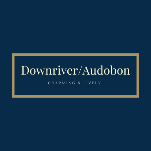 Downriver/ Audobon Search Graphic